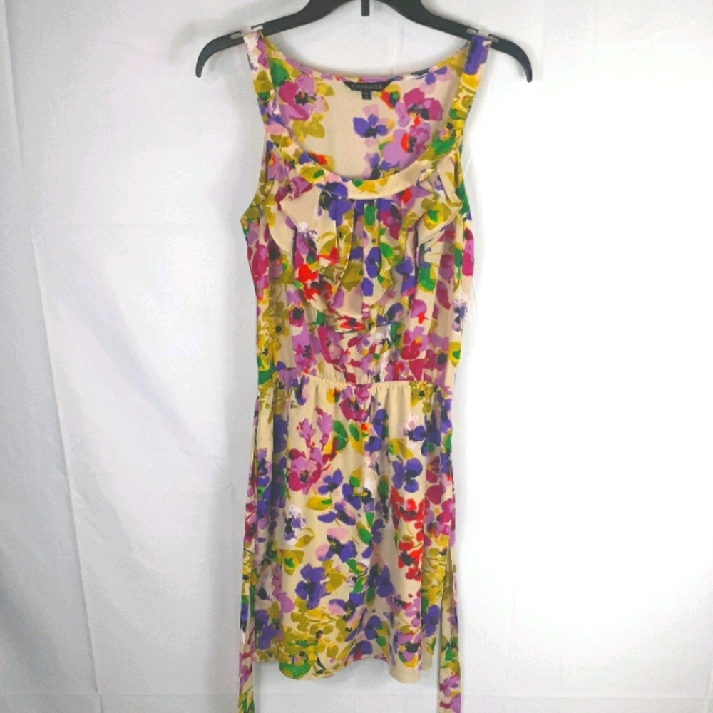 Express Floral Sundress